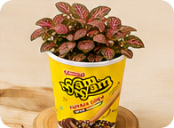 Cup Nyam Nyam jadi pot tanaman mini