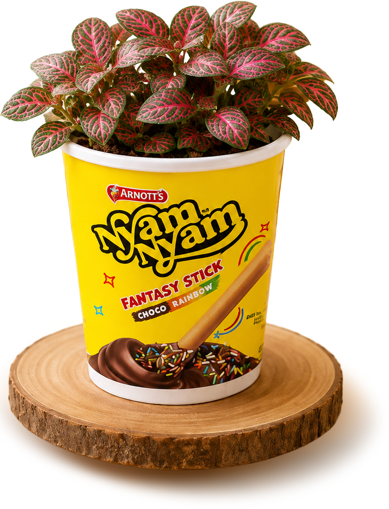 Cup Nyam Nyam jadi pot tanaman